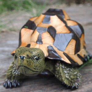 ߂̒u NK 31375HH  J ^[g  u  IuWF K[f I[ig K[fjO K[fIuWF Aj} A  AfXvB 