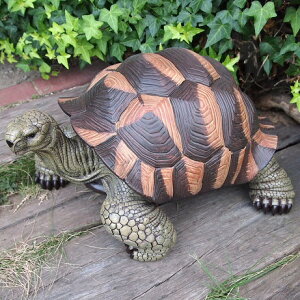 T̒u  NK T14191 ^[g  u  IuWF K[f I[ig K[fjO K[fIuWF Aj} A 