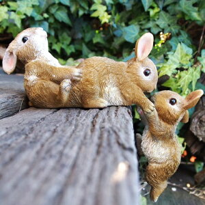 ̒u ǂrbggI N15440 ETM rbg e I[ig K[f IuWF CeA u }XRbg I[ig fBXvC   K[fjO A K[f