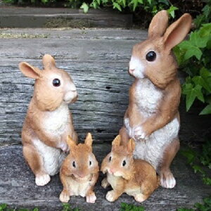 ̒u J[rbg4iZbg N110282930 I[ig K[f IuWF K[fjO CeA G fBXvC   ETM A }XRbg