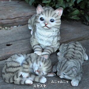 L̒u eqL3CZbg O[g 7380E74HT7119 Lbg K[fIuWF CAT  I[ig lR G K[f IuWF K[fjO CeA }XRbg Aj} A fB