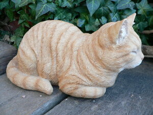 L̒u (΂)L(g 12688NLbg K[fIuWF CAT  I[ig lR K[f u }XRbg fBXvC   K[fjO CeA G
