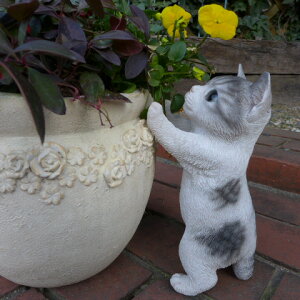 L̒u qL|[Y 81QY Lbg K[fIuWF CAT  I[ig lR G K[f IuWF K[fjO CeA }XRbg Aj} A fBXvB ˂ ObY