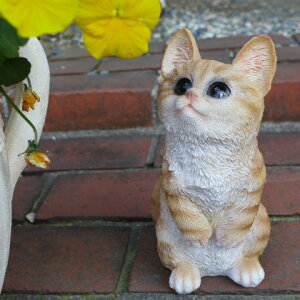 L̒u g̎qL 6111H Lbg K[fIuWF CAT  I[ig lR G K[f IuWF K[fjO CeA }XRbg Aj} A fBXvB ˂ ObY