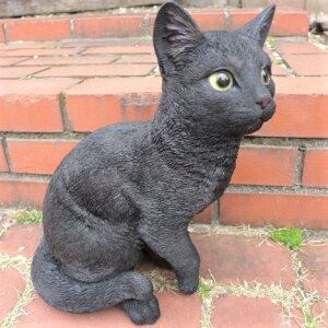 L̒u L L N13445 Lbg K[fIuWF CAT  I[ig lR G K[f IuWF K[fjO CeA }XRbg Aj} A fBXvB ˂ ObY