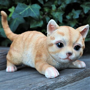 L̒u ÁX̎qL g 7377HT Lbg K[fIuWF CAT  I[ig lR G K[f IuWF K[fjO CeA }XRbg Aj} A fBXvB 