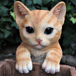 L̒u nMOLbg gL 7232HT Lbg K[fIuWF CAT  I[ig lR G K[f IuWF  K[fjO CeA }XRbg Aj} nMO