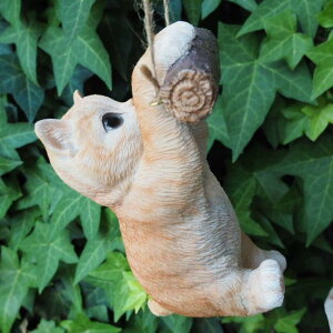 L̒u g uR 021QB ā[ Lbg K[fIuWF CAT  I[ig lR G K[f IuWF K[fjO CeA }XRbg Aj} A fBXvB 