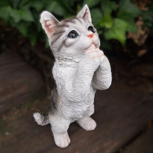 L̒u qL̂肢 ToV 31341HH Lbg K[fIuWF CAT  I[ig lR G K[f IuWF K[fjO CeA }XRbg Aj} A fBXvB 