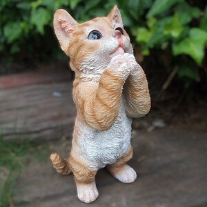 L̒u qL̂肢 g 31340HH Lbg K[fIuWF CAT  I[ig lR G K[f IuWF K[fjO CeA }XRbg Aj} A fBXvB 