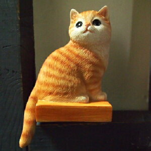 L̒u gL  Y046QB L Lbg K[fIuWF CAT  I[ig lR G K[f IuWF K[fjO CeA }XRbg Aj} A fBXv