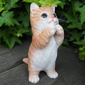 L̒u qL̂肢 g Y041QB Lbg K[fIuWF CAT  I[ig lR G K[f IuWF K[fjO CeA }XRbg Aj} A fBXvB ˂