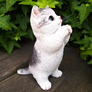 L̒u qL̂肢 Tog 041QB Lbg K[fIuWF CAT  I[ig lR G K[f IuWF K[fjO CeA }XRbg Aj} A fBXvB 