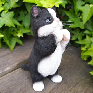 L̒u qL̂肢  BW041QB Lbg K[fIuWF CAT  I[ig lR G K[f IuWF K[fjO CeA }XRbg Aj} A fBXvB 