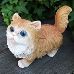 L̒u }`J̎qL g 31226HT Lbg K[fIuWF CAT  I[ig lR G K[f IuWF K[fjO CeA }XRbg Aj} A fBXvB