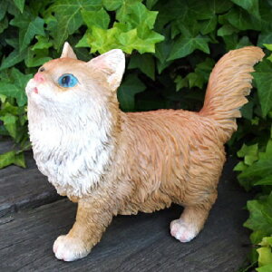 L̒u XReBVtH[h̎qL g 31228HT Lbg K[fIuWF CAT  I[ig lR G K[f IuWF K[fjO CeA }XRbg Aj} A 