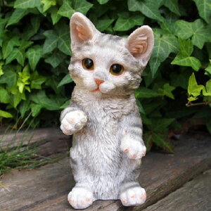 L̒u vCOVog 31233HH Lbg K[fIuWF CAT  I[ig lR G K[f IuWF K[fjO CeA }XRbg Aj} A fBXvB ˂