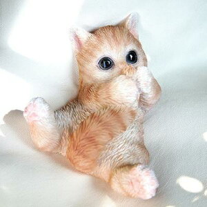 L̒u gL ۂnn 019QB ~jL Lbg }Olbg K[fIuWF CAT  I[ig lR G K[f IuWF K[fjO CeA }XRbg Aj} 