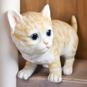 L̒u ÁX̎qL g 1226QYL Lbg K[fIuWF CAT  I[ig lR G K[f IuWF K[fjO CeA }XRbg Aj} A fBXvB 