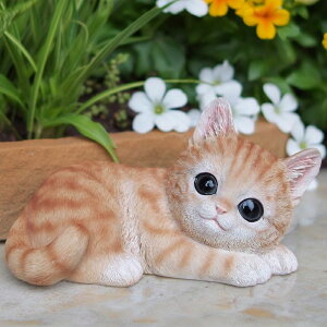 �L�̒u�� ���g�� �q�L �����Q N15719 �L���b�g �K�[�f���I�u�W�F CAT ���� �I�[�i�����g �l�R �G�� �K�[�f�� �I�u�W�F �K�[�f�j���O �C���e���A �}�X�R�b�g �A�j�}�� ���A�� �f�B�X�v���B �˂� 