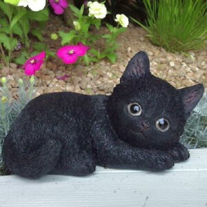 �L�̒u�� ���L �q�L �����Q N15720 �L���b�g �K�[�f���I�u�W�F CAT ���� �I�[�i�����g �l�R �G�� �K�[�f�� �I�u�W�F �K�[�f�j���O �C���e���A �}�X�R�b�g �A�j�}�� ���A�� �f�B�X�v���B �˂� �O