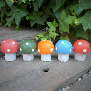 LmR̒u@JtLmR5_ZbgiSj2383H@K[fIuWF@ I[ig@w@̂@K[f K[fjO@G݁@IuWF