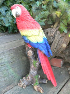 ̒u CR̒u  IE N12141  Ƃ  I[ig IuWF  K[f G CeA A fXvB  K[fjO K[f G