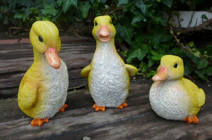 Aq̒u@Ђ3HZbg@N12486@@Ƃ@g I[ig@IuWF@@K[f@K[fjO@G݁@CeA