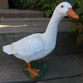 楽天市場 アヒルの通販