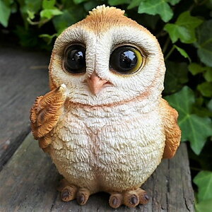 tNE̒u ӂ낤 T14163  Ƃ  I[ig IuWF K[f K[fjO u N G i` A fXvB 