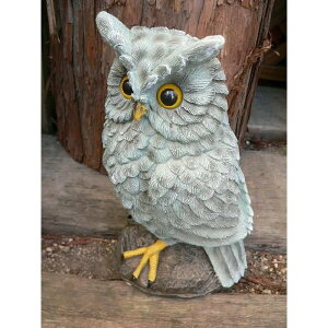 󂠂 tNE̒u(23.5cm)ӂ낤  KI-36  I[ig IuWF K[f K[fjO u N A fXvB Ƃ