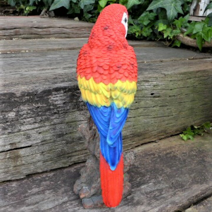 楽天市場 小鳥の置物 オウムの置物 ｌ赤 ７５８９ｈ インコ とり オーナメント ガーデン インテリア 雑貨 置物 庭 ガーデンマスコット レジン 陶器 リアル デスプレィ わくわくガーデン