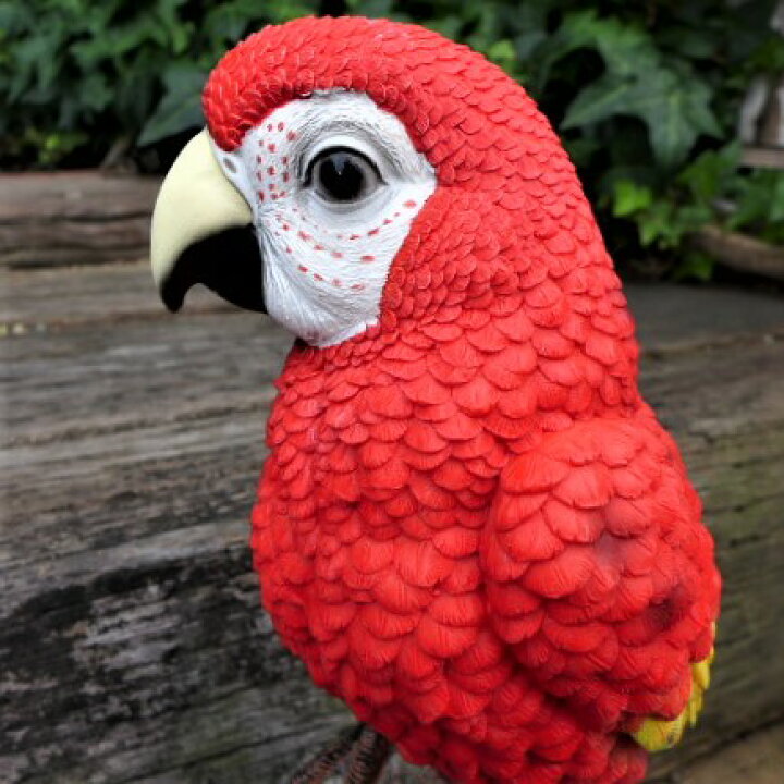 楽天市場 小鳥の置物 オウムの置物 l赤 7589h インコ とり オーナメント ガーデン インテリア 雑貨 置物 庭 ガーデンマスコット レジン 陶器 リアル デスプレィ わくわくガーデン 楽天市場 小鳥の置物 オウムの置物 l赤 7589h インコ とり オーナメント ガーデン インテリア 雑貨 置物 庭 ガーデンマスコット レジン 陶器 リアル デスプレィ わくわくガーデン