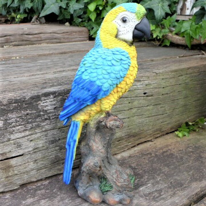 楽天市場】小鳥の置物 オウムの置物 L青 7588H インコ とり 
