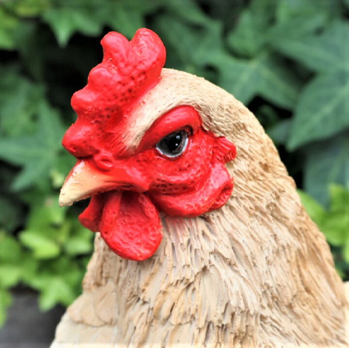 楽天市場 にわとりの置物 ニワトリの親子の置物 ８１８９h H 鳥 とり 動物 オーナメント ガーデン オブジェ ガーデニング インテリア 雑貨 ニワトリ 置物 リアル デスプレィ アニマルオブジェ ガーデン雑貨 わくわくガーデン