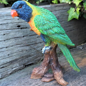 ̒u IE̒u N14104 CR Ƃ I[ig K[f CeA G u  K[f}XRbg W  A fXvB K[fu