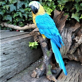 小鳥の置物 インコの置物 コンゴウインコ 特大 N14107 青 オウム 鳥 とり 動物 オーナメント オブジェ 庭 ガーデン 雑貨 インテリア リアル デスプレィ 小物 ガーデニング ガーデン 雑貨
