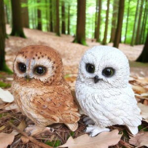 tNE̒u ӂ낤2FZbg 149E150QY  Ƃ  I[ig IuWF K[f K[fjO u N G i` A fXvB }XRbg