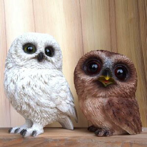 tNE̒u ӂ낤2FZbg 150E151QY  Ƃ  I[ig IuWF K[f K[fjO u N G i` A fXvB }XRbg