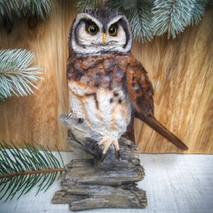 tNE̒u ӂ낤 N15705  Ƃ  I[ig IuWF K[f K[fjO u N G i` A fXvB }XRbg