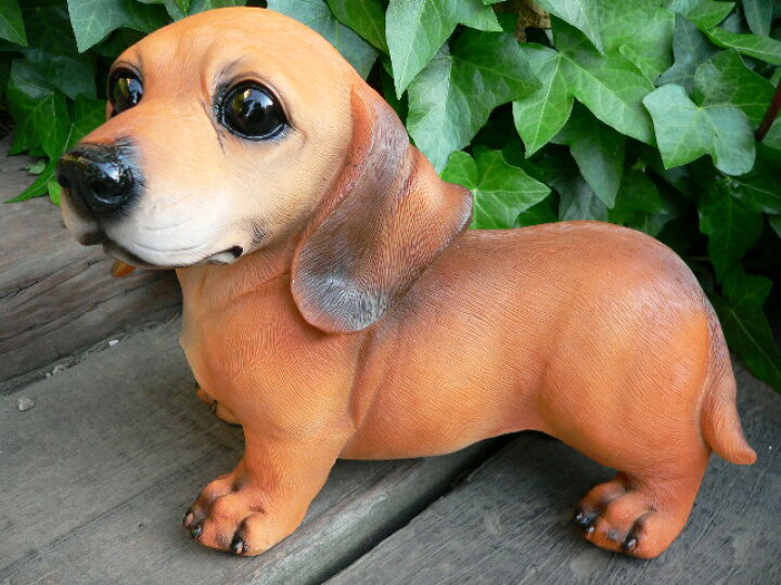楽天市場 犬の置物 ミニチュアダックスフンド おまけ ２６３１h いぬ イヌ 動物 オーナメント 犬 置物 ガーデン ガーデニング 庭 陶器 オブジェ わくわくガーデン