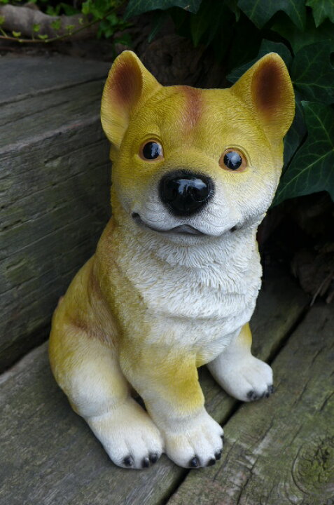 楽天市場】犬の置物 柴犬 おまけ付 9410H いぬ イヌ 動物 