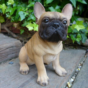 ̒u@t`uhbO@ʁ@Ck@@T14067@I[ig@K[f@IuWF@@G݁@K[fjO@CeA@G݁@}XRbg