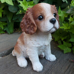 ̒u `[YXpjG  Ck  T14073 I[ig K[f IuWF  G K[fjO CeA G }XRbg A fXvB Aj}