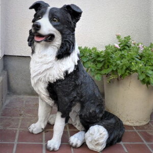 ̒u ^ {[_[R[ T14053 ʁ@Ck  I[ig K[f CeA G u  K[f}XRbg A fXvB