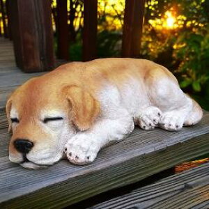 ̒u uh[ go[ Q N15575  Ck  CeA I[ig K[f IuWF  G K[fjO K[f}XRbg A fXvB K[fjOG 