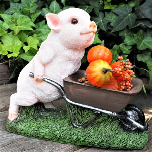 nEB Ԃ̒u Ԃ̎n3iZbg N14114 u^  I[ig Ԃ AfXvB  I[ig IuWF K[f K[fjO }XRbg nEB