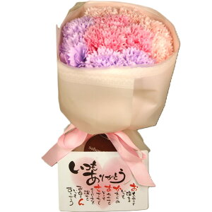 ̓ \[vt[J[l[VoXPbg G3808 bsOT[rXt V{t[ J[l[V  AWt[ A[gt[ CX^f I[ig u[P 