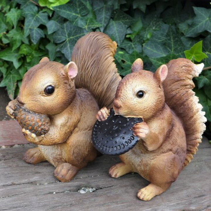 楽天市場 りすの置物 リスビスケット２品セット N１３２２５ 動物 オーナメント オブジェ ガーデン ガーデニング 庭 置物 マスコット 雑貨 小物 ディスプレイ リアル ガーデニング雑貨 アンティーク ナチュラル かわいい わくわくガーデン