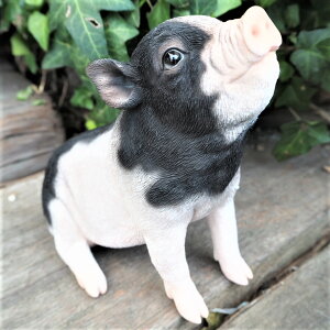 Ԃ̒u sbO T14189 u` Ԃ u^  K[fjOG I[ig IuWF K[f K[fjO CeA }XRbg Aj} G fBXvB A  AeB[N